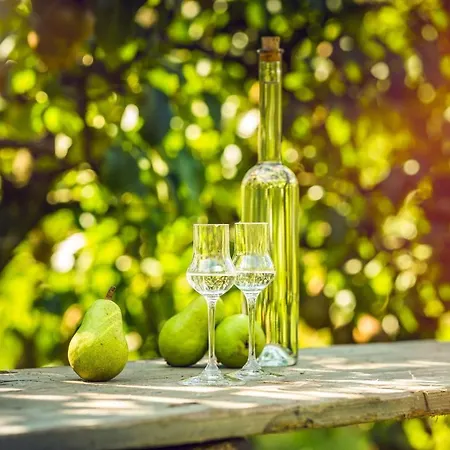 Dorril Sunny & Quiet Chalet 10 Pers By Alpvision Residences