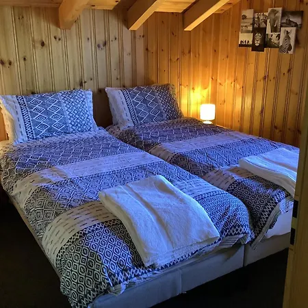 Dorril Sunny & Quiet 10 Pers By Alpvision Residences * ויסונה