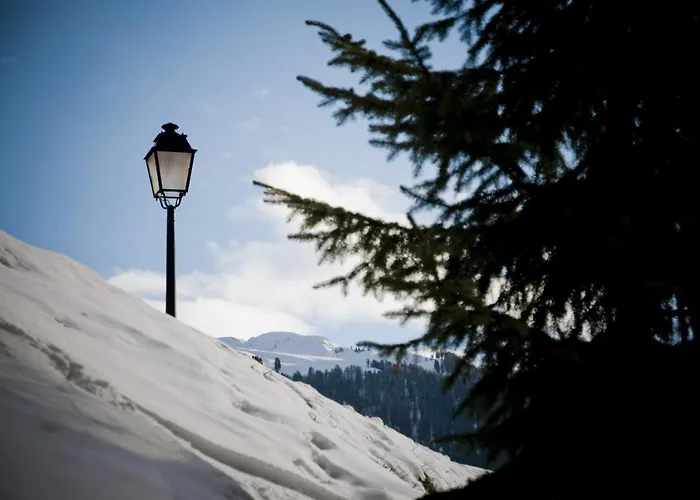 Dorril Sunny & Quiet 10 Pers By Alpvision Residences Chalet